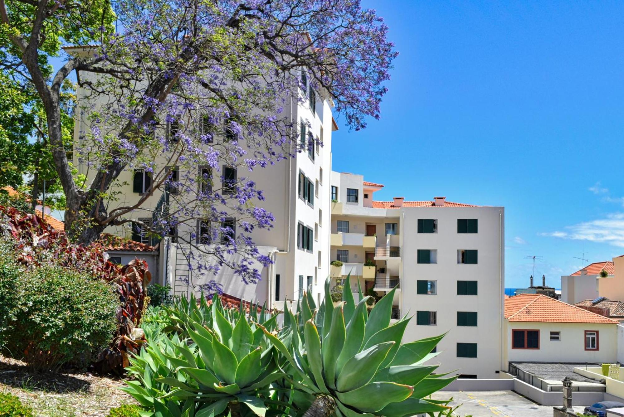 Encarnacao Apartment, A Home In Madeira Funchal  Exterior foto