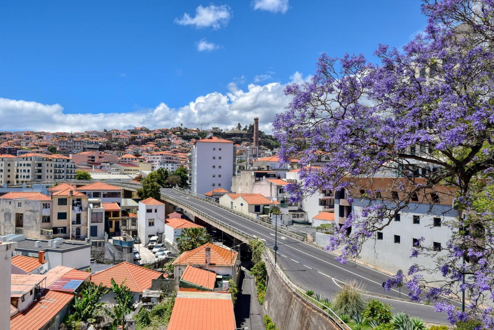 Encarnacao Apartment, A Home In Madeira Funchal  Exterior foto